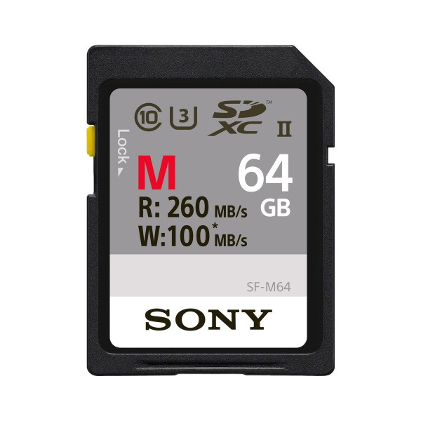 Sony 64 GB SDXC Secure Digital Flash Speicherkarte - Extra Professional Series Class 10 uhs-ii/U3 (Lesen 260 MB/s Schreiben 100 MB/s) - sf64 m-31